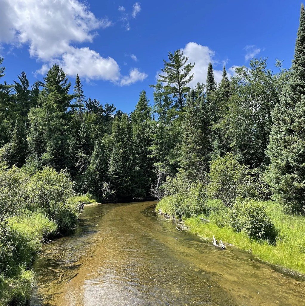 Boardman River Valley