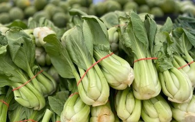 Pilot program: 5 schools in Char-Em get funds for staff focused on local food