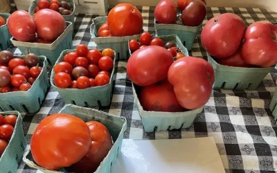 How every Michigan food pantry can partner with local farmers
