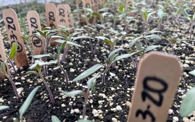 Urban Farmer and Policy Specialist Shares Thoughts on the MI Healthy Climate Conference