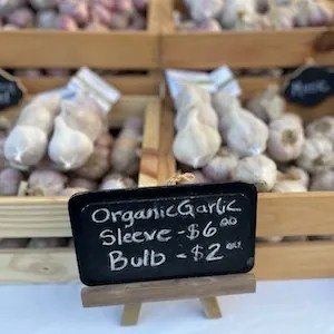 Garlic at farmers market