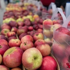 Apples at farmers market