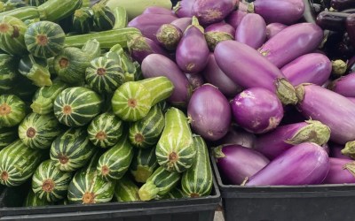 Takeaways from Food & Nutrition Conference and Expo 2024