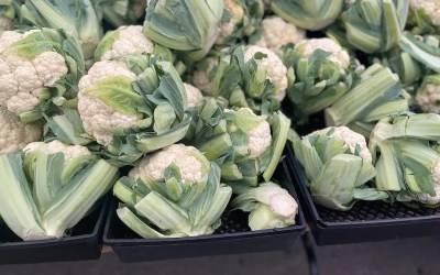 Local food access federal funds OK’d (Your advocacy mattered!)