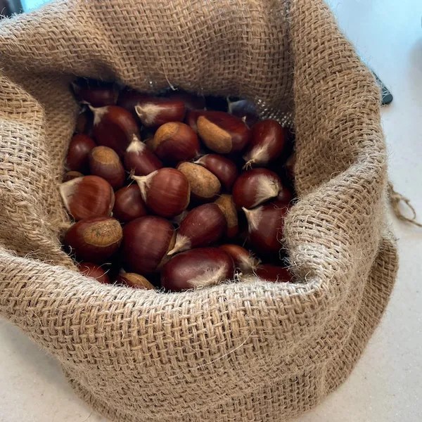 Chestnutes in burlap bag