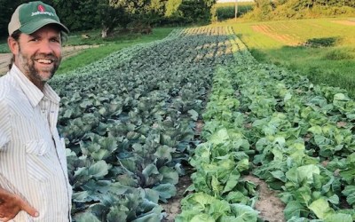 Groundwork Launches Local Food Relief Fund