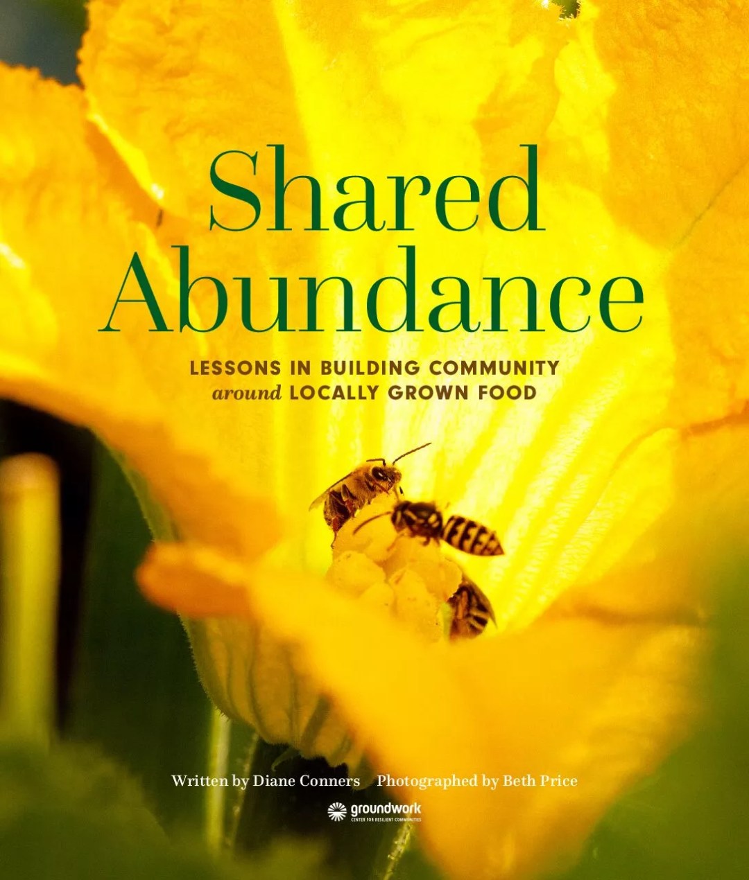Shared Abundance small cover