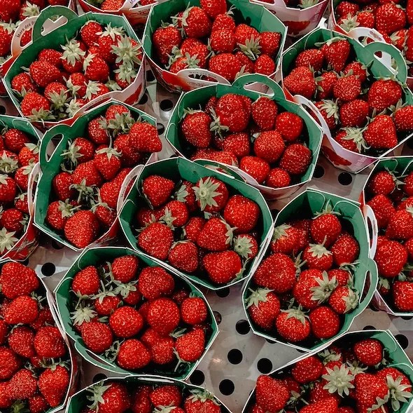 strawberries by adrianna geo