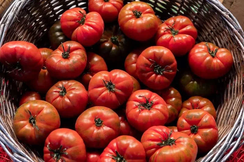 Local Food Relief Fund Goal
