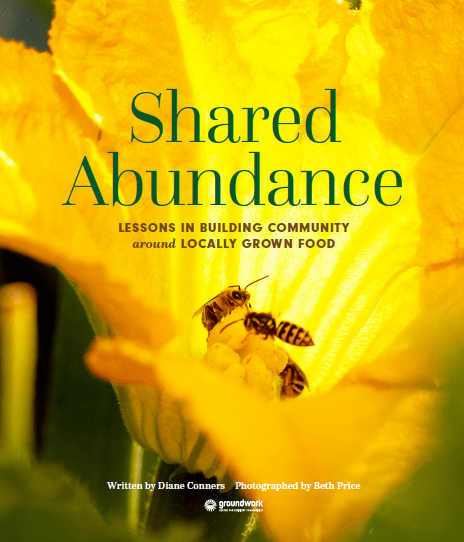 Shared Abundance: Lessons in building community around locally grown food
